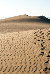 View on Sand dunes in Maspalomas on a sunny day , Gran Canaria, Spain