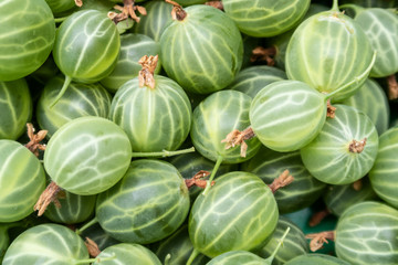 Naklejka premium Background made from freshly harvested gooseberries 