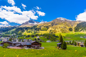 Fototapeta premium Wooden cottage houses on green fields, Davos, Graubuenden, Switzerland