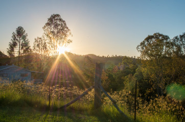 Australian bushland and rural backyard at sunset