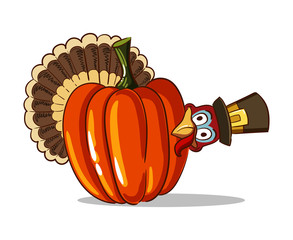 Turkey And Pumpkin