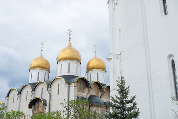 view of the churches in cathedral square inside the kremlin