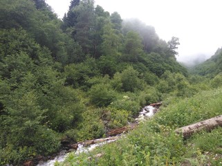 like in mountain