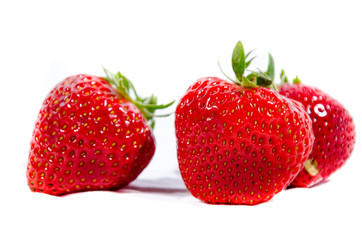 The garden strawberry 