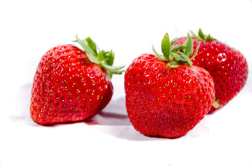 The garden strawberry 