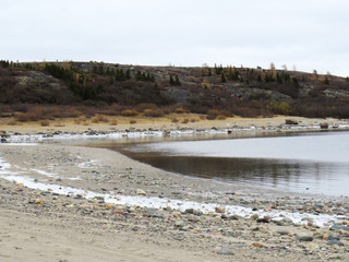 Frozen beach in Kuujjuaq with dark trees