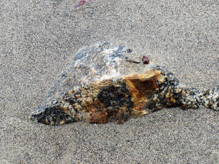 A rock in the sand on a beach in Kuujjuaq with different colors