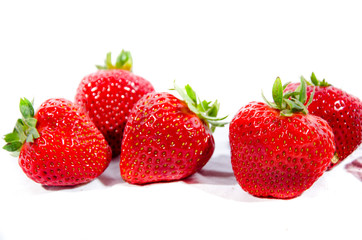 The garden strawberry 