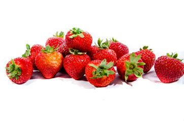 The garden strawberry 