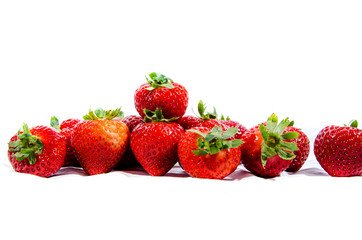 The garden strawberry 