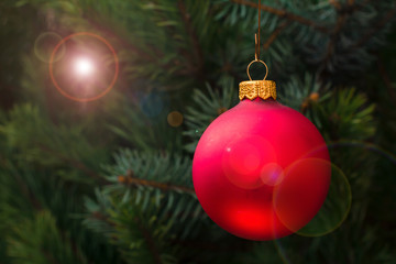 Obraz na płótnie Canvas Spruce branch with toy ball and festive lights on the background.