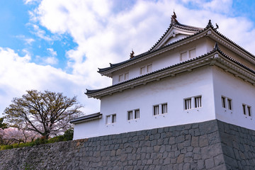 Sunpu Castle Tatsumi-Yagura with Cherry blossom, Shizuoka, Japan.