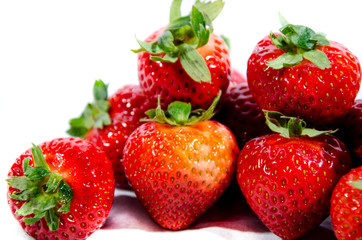 The garden strawberry 