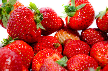 The garden strawberry 