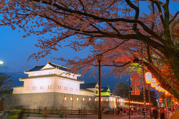 Sunpu Castle Tatsumi-Yagura with Cherry blossom, Shizuoka, Japan.