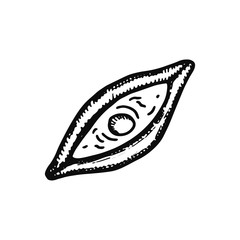 khachapuri dish icon. isolated vector object