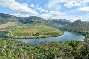 Fototapeta premium Krajobraz rzeki Douro