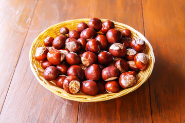 Fresh raw autumn chestnuts. Aesculus hippocastanum.