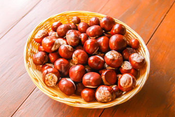 Fresh raw autumn chestnuts. Aesculus hippocastanum.