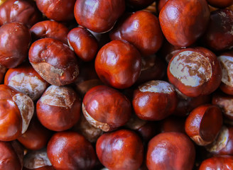 Fresh raw autumn chestnuts