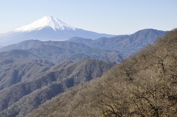 Fototapeta premium 大室山より富士山を望む