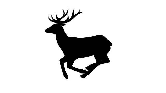 Running deer silhouette animation