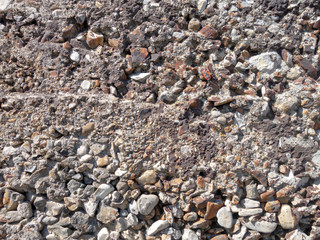 Red beetle on a vertical wall of small stones. Structural background, close up