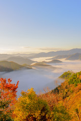 おにゅう峠　紅葉　早朝　大雲海