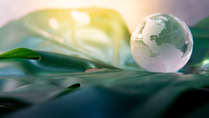 World globe cystal glass on green lush leaf. Environmental conservation. World environment day....
