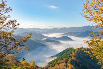 Obraz premium おにゅう峠 紅葉 早朝 大雲海