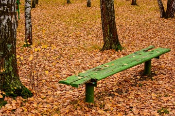 bench in the autumn park