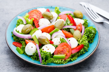 Vegetable salad with cheese mozzarella, tomatoes, basilikum and spice.