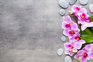 Beauty orchid on a gray background. Spa scene.