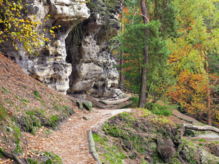 Hiking trail in the autumn forest