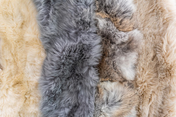 Anumal fur textured