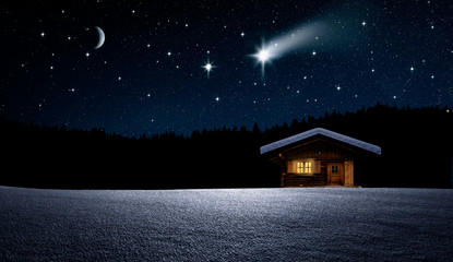 Weihnachtbaum im Nächtlichen Winterwald