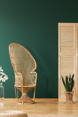 Rattan peacock chair in elegant room with green wall and wooden screen and floor, real photo with...