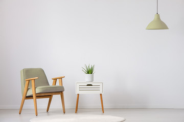 Fototapeta na wymiar Beige wooden armchair next to cabinet with plant in flat interior with lamp and copy space. Real photo
