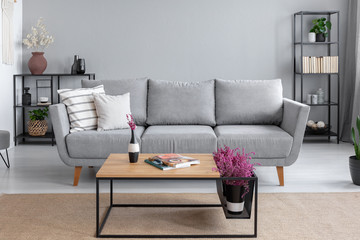 Pillows on the comfortable grey couch in stylish living room interior with metal shelves with plants and books and elegant coffee table with magazines on it
