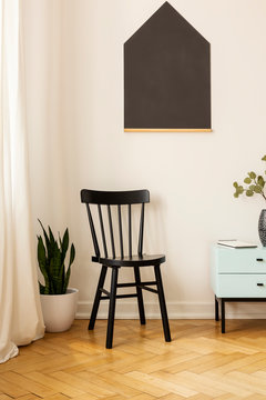 Plant next to black chair against white wall with poster in living room interior with cabinet. Real photo