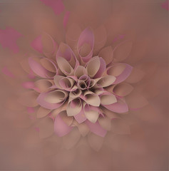 pink surreal single flower abstract