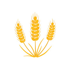 Grain, wheat icon. Vector illustration on white isolated background