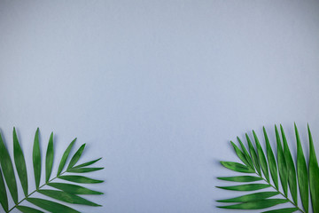 Tropical palm leaves on blue grey paper background