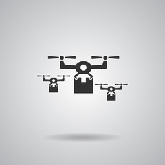 Drone Delivery transport icon