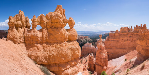 landscape on the bryce canyon in the united states of america