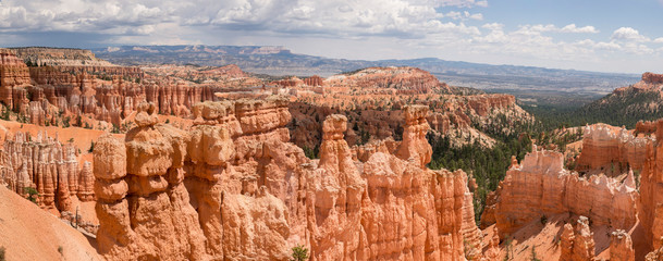 landscape on the bryce canyon in the united states of america