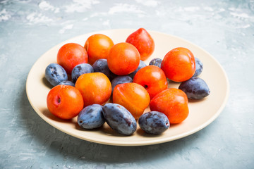 Fresh ripe plums on the rustic background. Selective focus. Shallow depth of field.