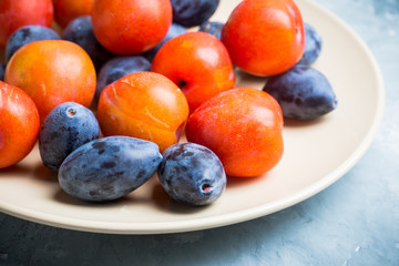 Fresh ripe plums on the rustic background. Selective focus. Shallow depth of field.