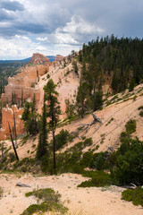 landscape on the bryce canyon in the united states of america