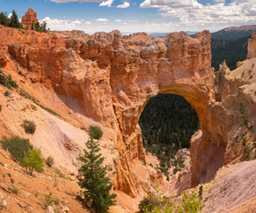 landscape on the bryce canyon in the united states of america